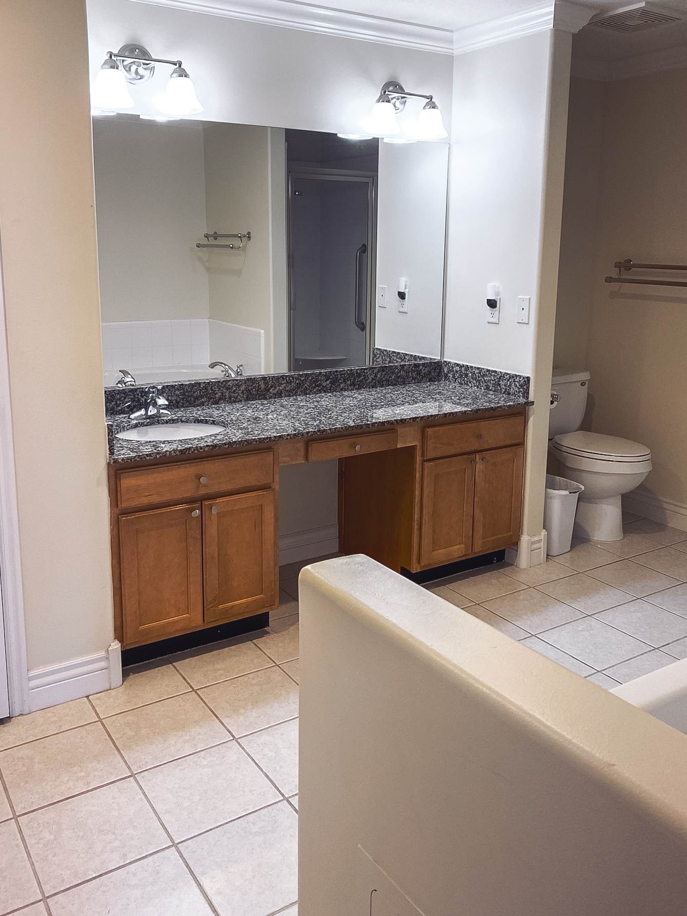 Bathroom with a granite countertop vanity, wooden cabinetry, and a large mirror, with a shower and toilet in the background.